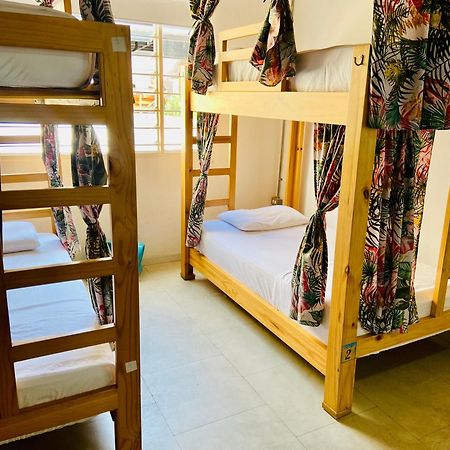 Oasis Cali Hostel Dış mekan fotoğraf